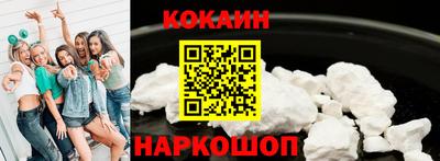 кокс Гатчина