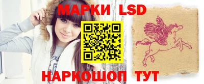 кокс Гатчина