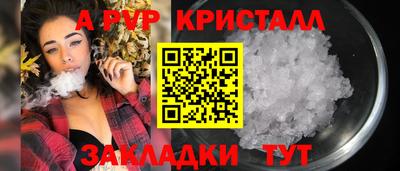 кокс Гатчина