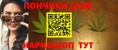 кокс Гатчина