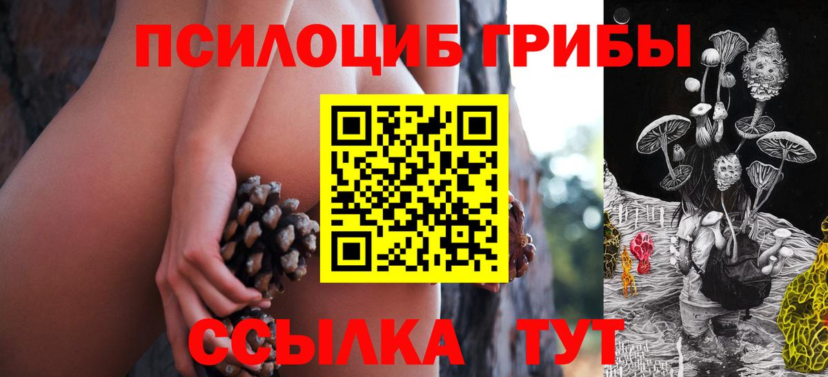 Галлюциногенные грибы Magic Shrooms  Вход с VPN  наркотики  Тихвин 