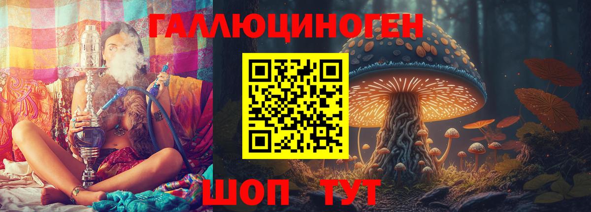 Псилоцибиновые грибы прущие грибы Тихвин